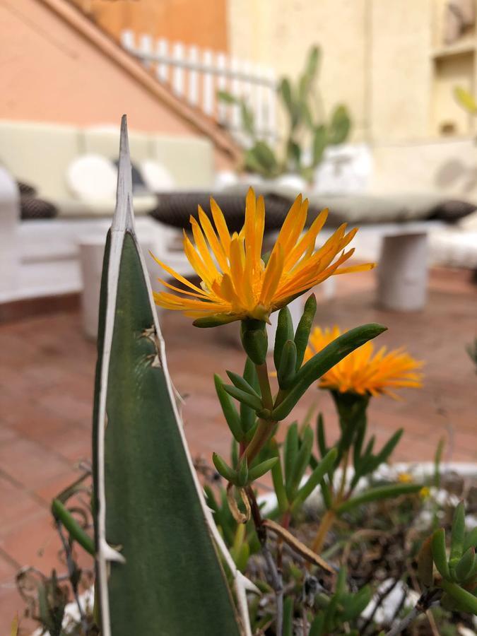 Bastianelli Home Rom Exterior foto